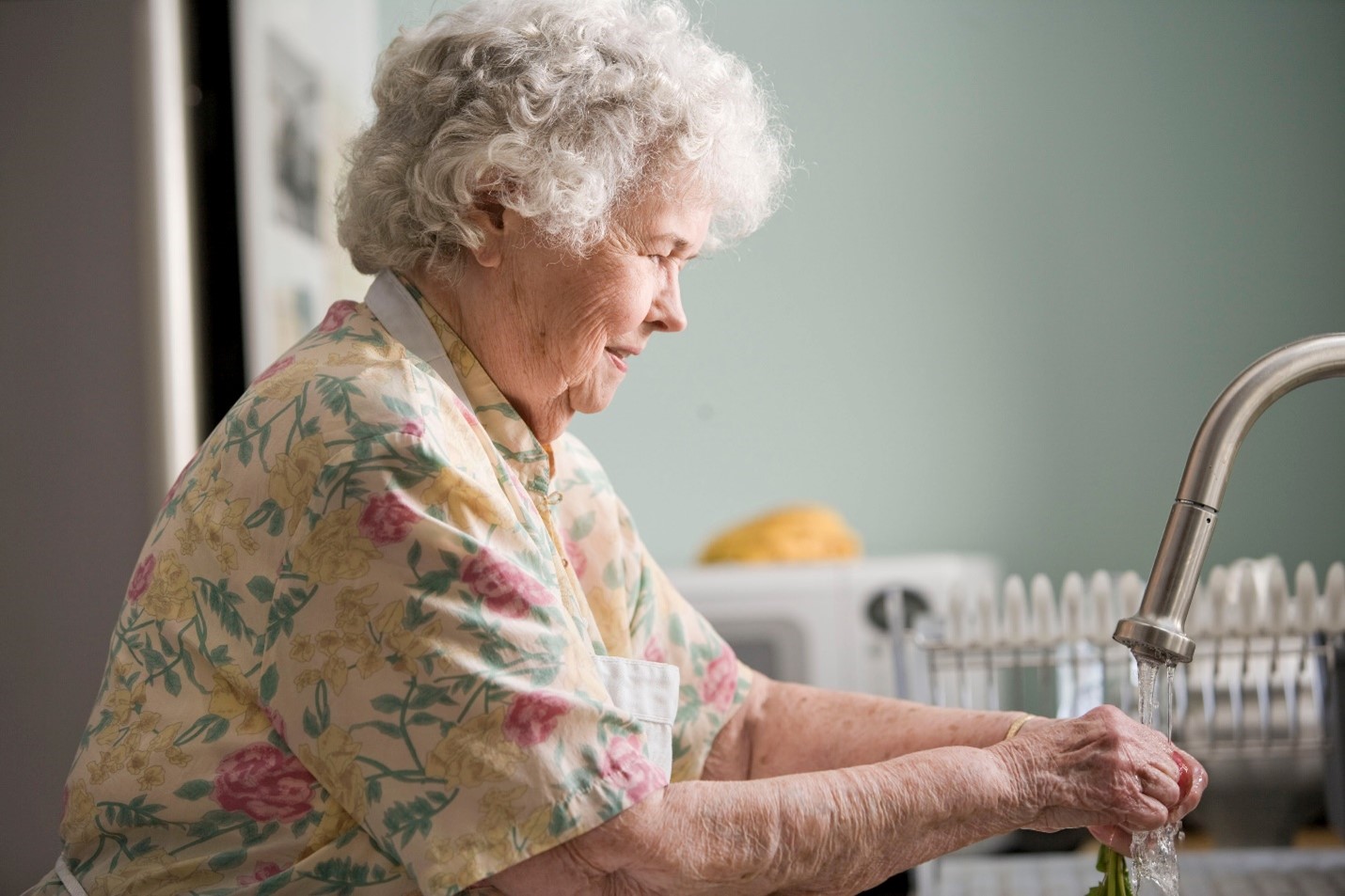 assisted-living-vs-nursing-home